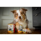 Hund Nassfutter Schäfers Pfanne 810g 6 Stück -6- Anifit
