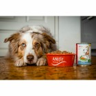 Hund Nassfutter Falscher Hase 400g 6 Stück -3- Anifit