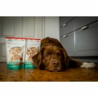 Hund Nassfutter Schonkost Huhn/Reis 50g 1 Stück -4- Anifit