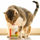 Hund Katze B.A.R.F. Nahrungsergänzungen Snacks Hühnersuppe 80g 1 Stück -2- Anifit